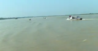 বরিশালে মা ইলিশ রক্ষায় নৌবাহিনীর অভিযান
